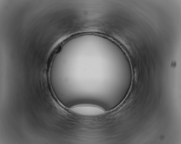X0000102251452200807250850