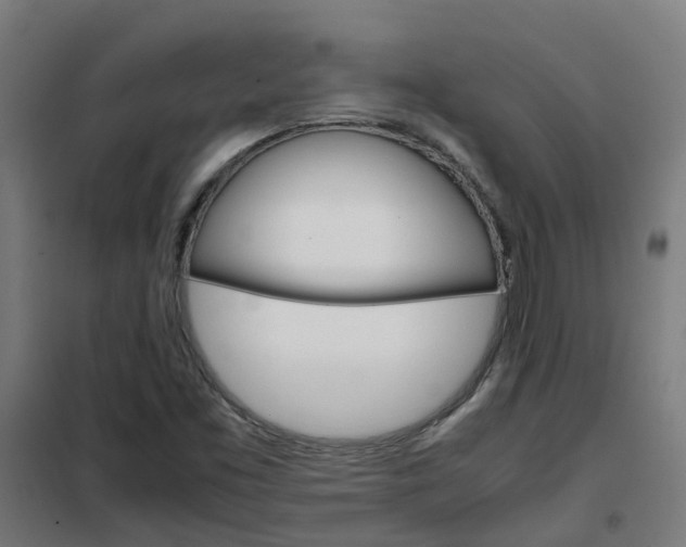 X0000102251453200807250850