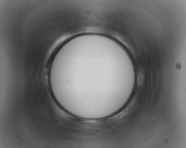 X0000102251454200807250850