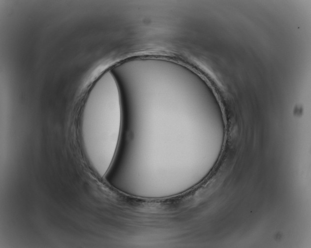 X0000102251455200807250850