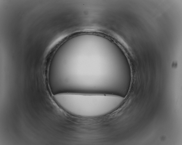 X0000102251456200807250850