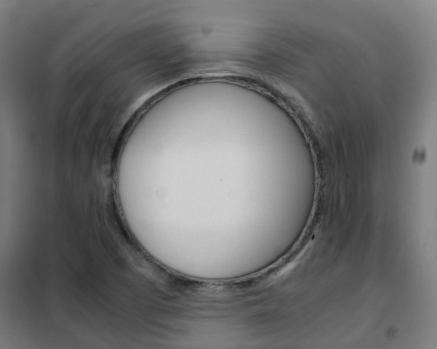 X0000102251457200807250850