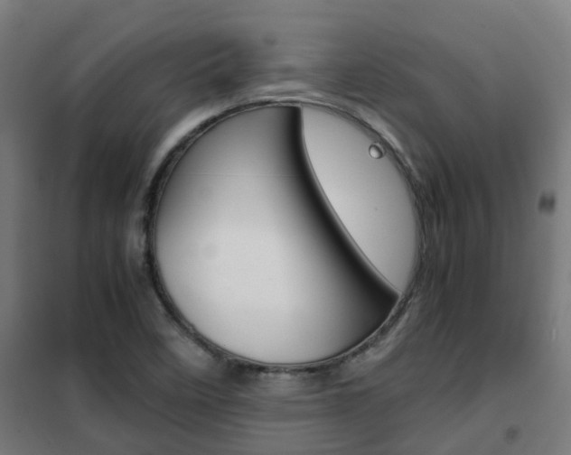 X0000102251458200807250850