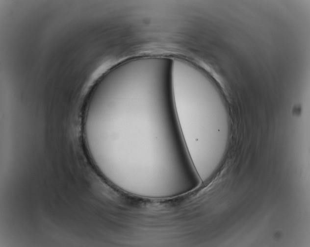 X0000102251459200807250850