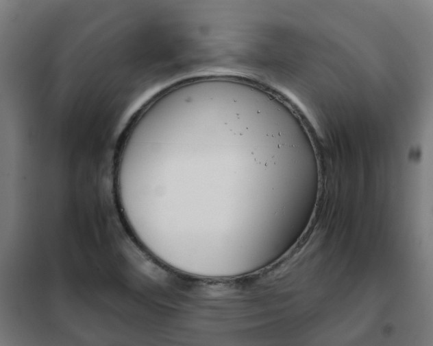 X0000102251460200807250850