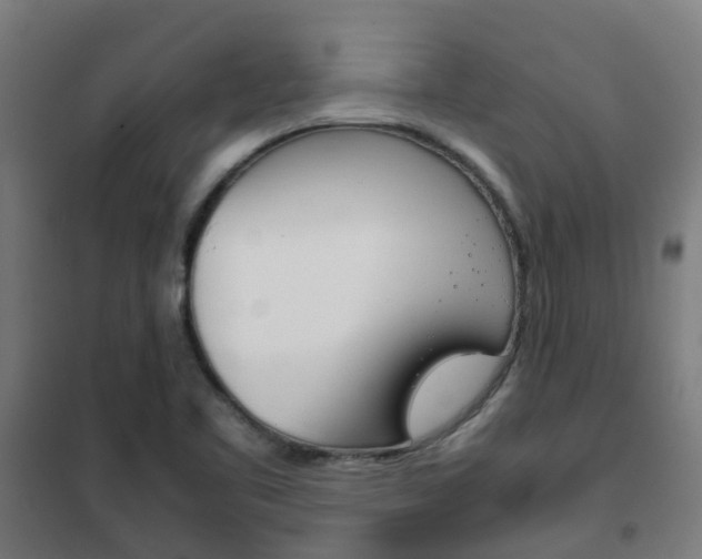 X0000102251461200807250850