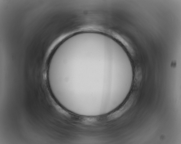 X0000102251462200807250850