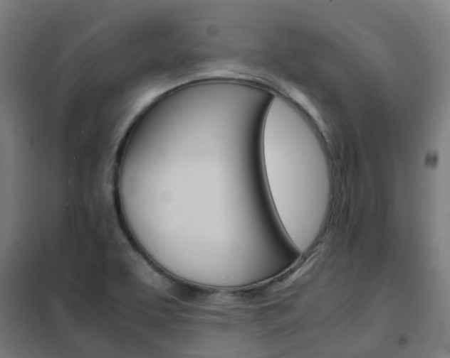 X0000102251463200807250850