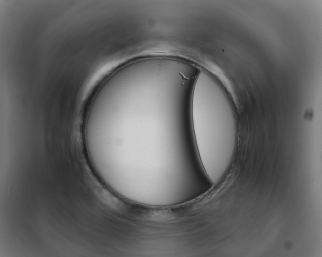 X0000102251464200807250850