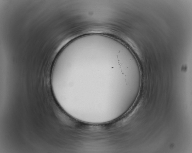 X0000102251465200807250850