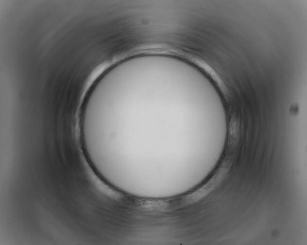 X0000102251466200807250850