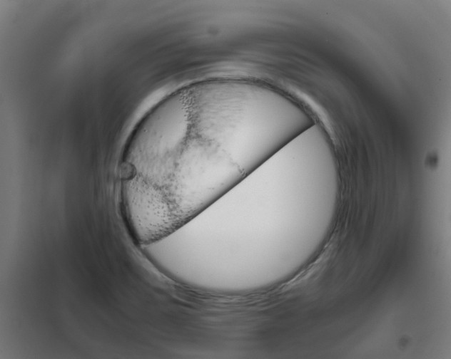 X0000102251467200807250850