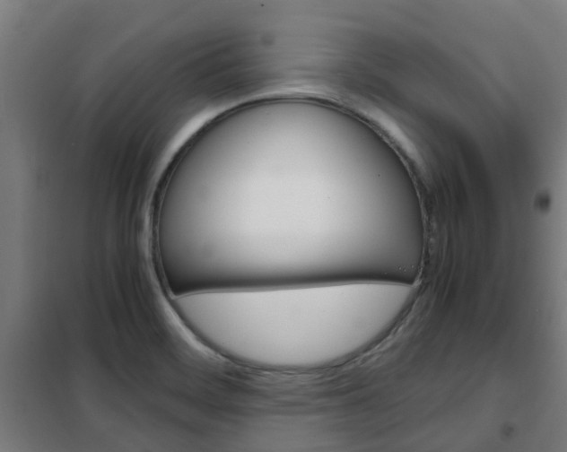 X0000102251468200807250850