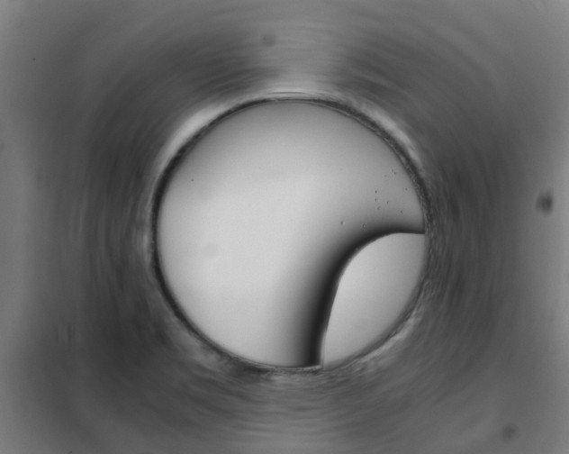 X0000102251469200807250850