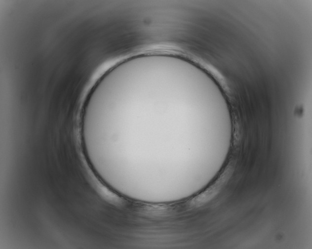 X0000102251470200807250850