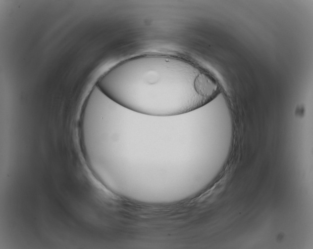 X0000102251471200807250850