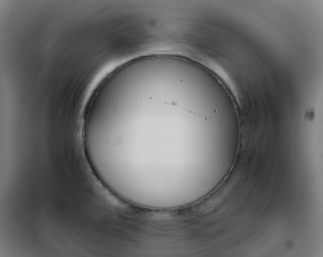 X0000102251472200807250850