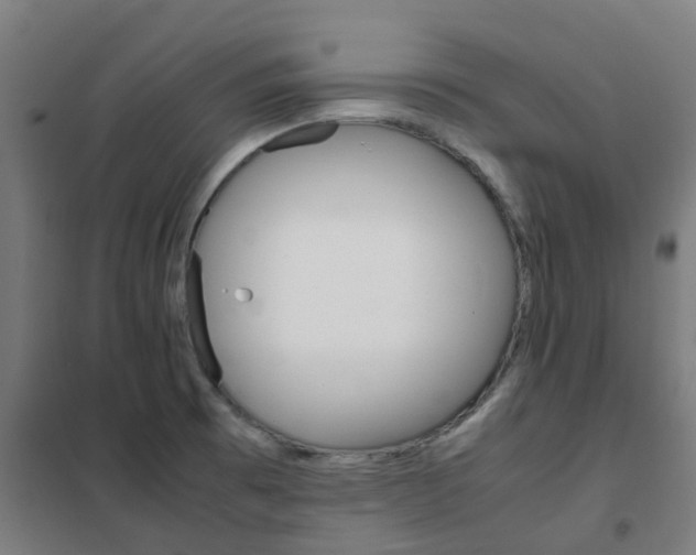 X0000102251473200807250850
