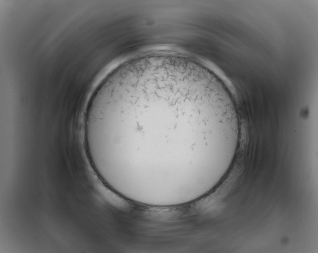 X0000102251474200807250850