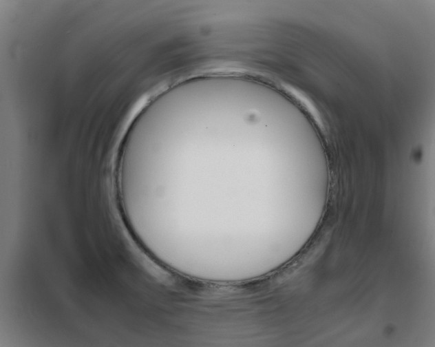 X0000102251475200807250850