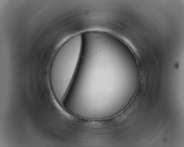 X0000102251476200807250850