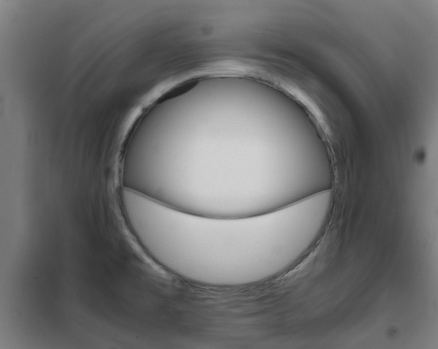 X0000102251477200807250850