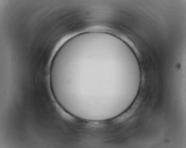 X0000102251478200807250850