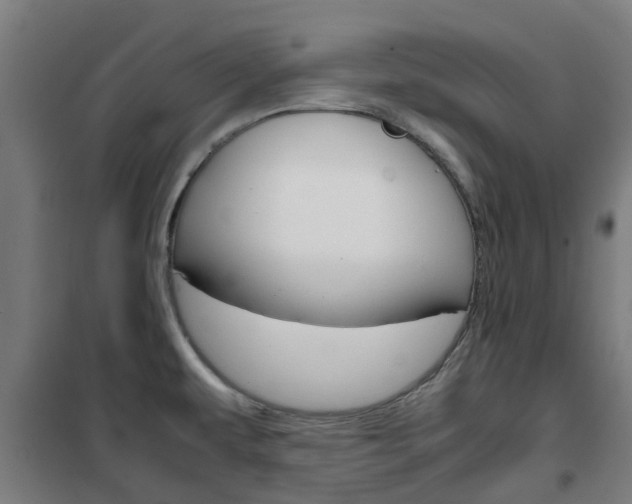 X0000102251479200807250850