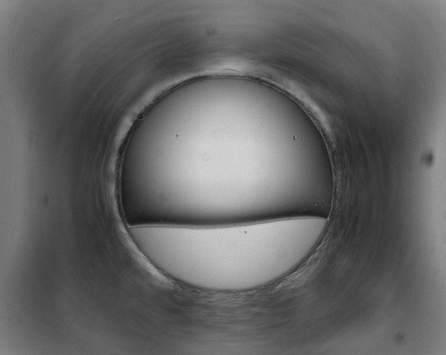X0000102251480200807250850