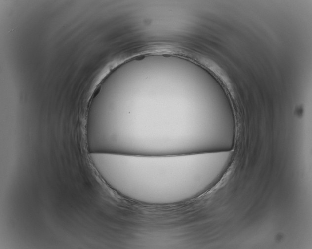 X0000102251481200807250850