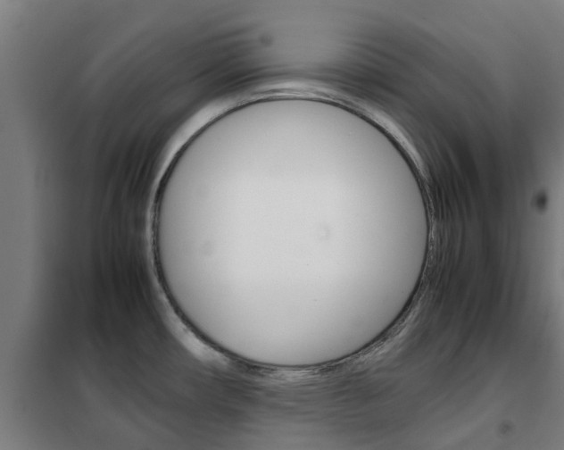 X0000102251482200807250850