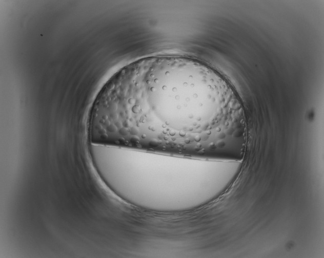 X0000102251483200807250850