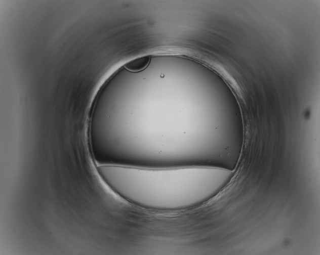X0000102251484200807250850
