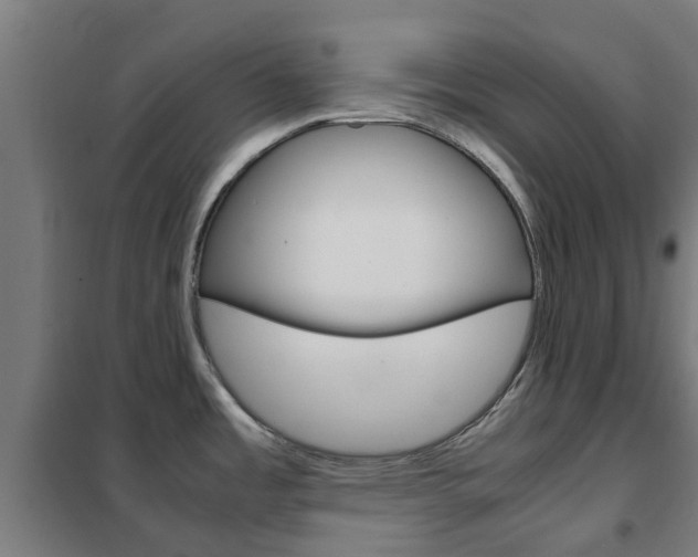 X0000102251485200807250850