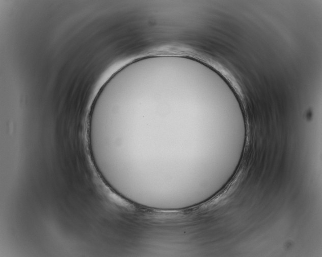 X0000102251486200807250850