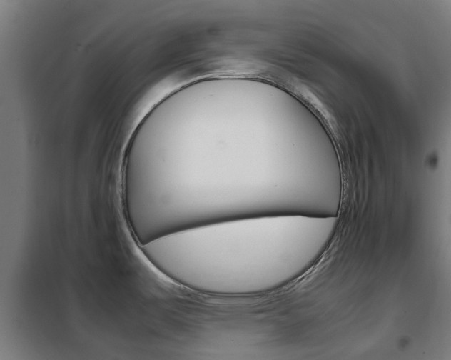 X0000102251487200807250850