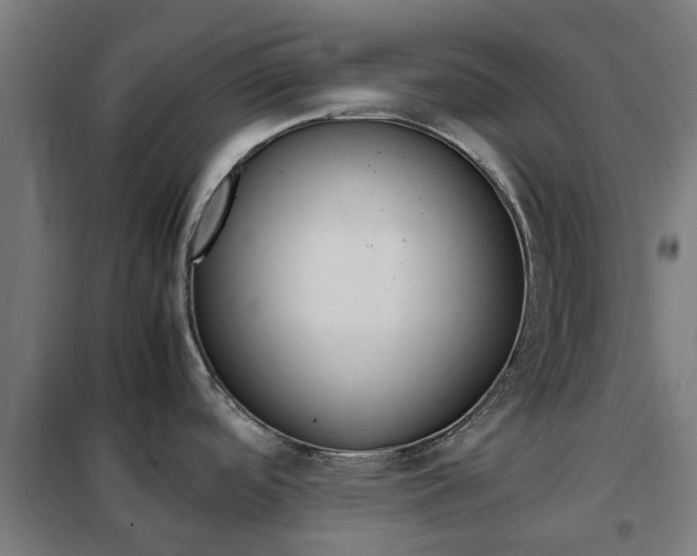 X0000102251488200807250849