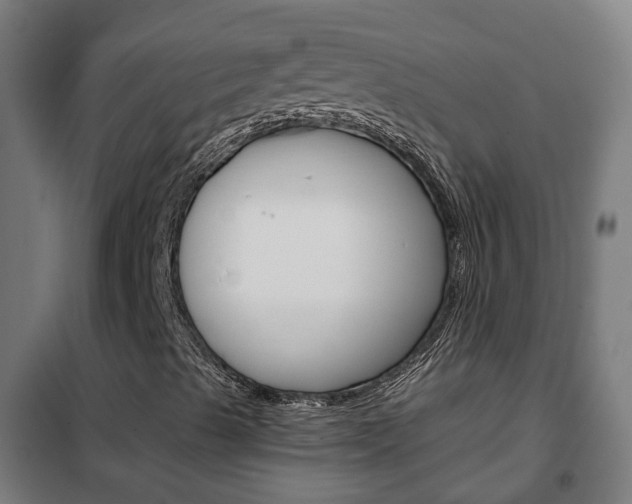 X0000102251489200807250849