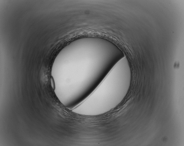 X0000102251490200807250849