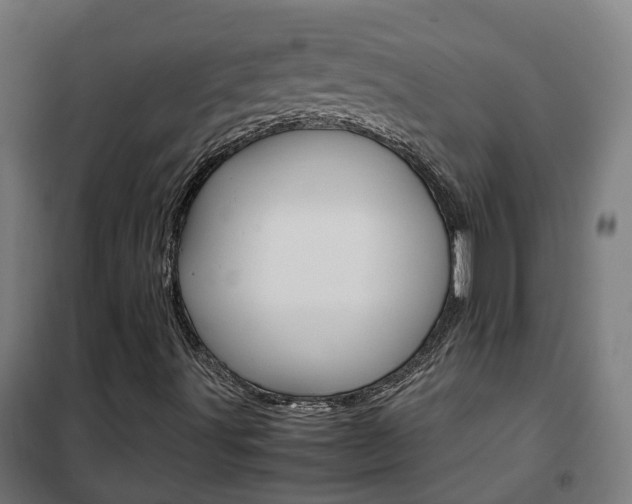 X0000102251491200807250849