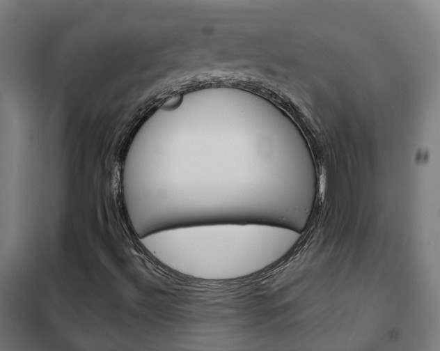 X0000102251492200807250849