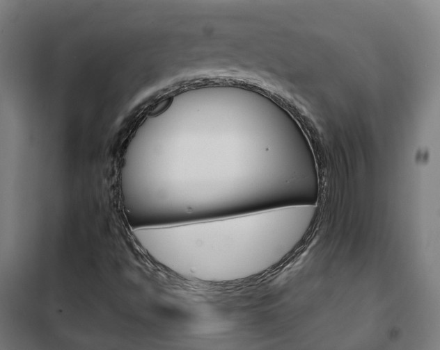 X0000102251494200807250849