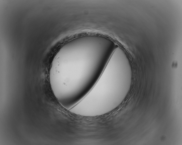 X0000102251495200807250849