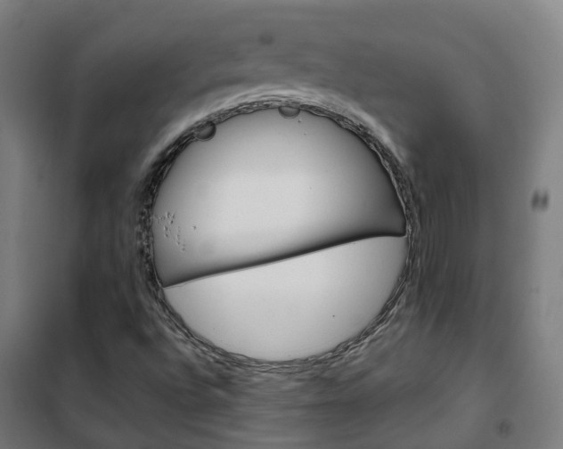 X0000102251496200807250849