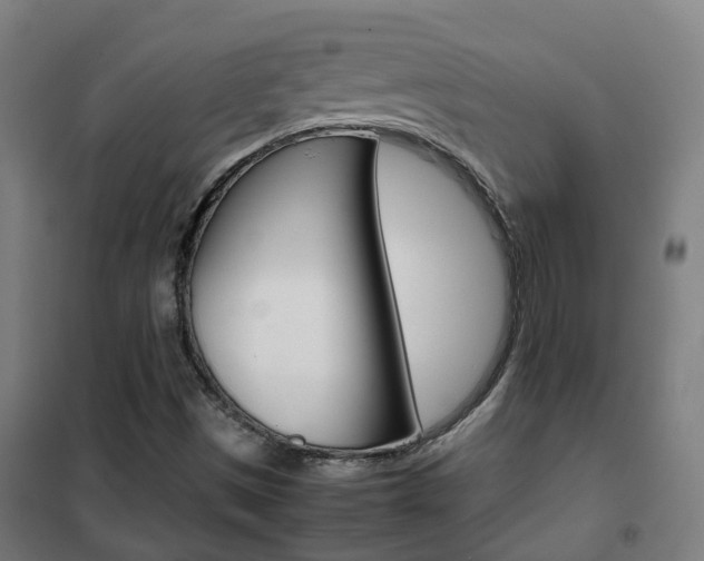 X0000102251497200807250849