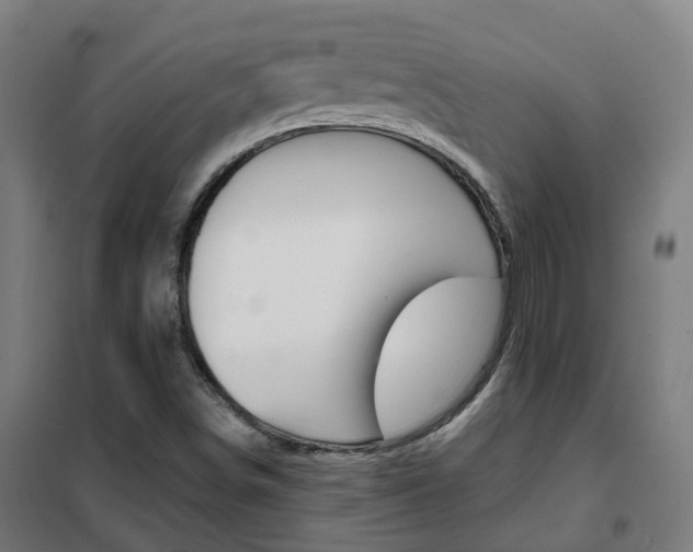 X0000102251498200807250849
