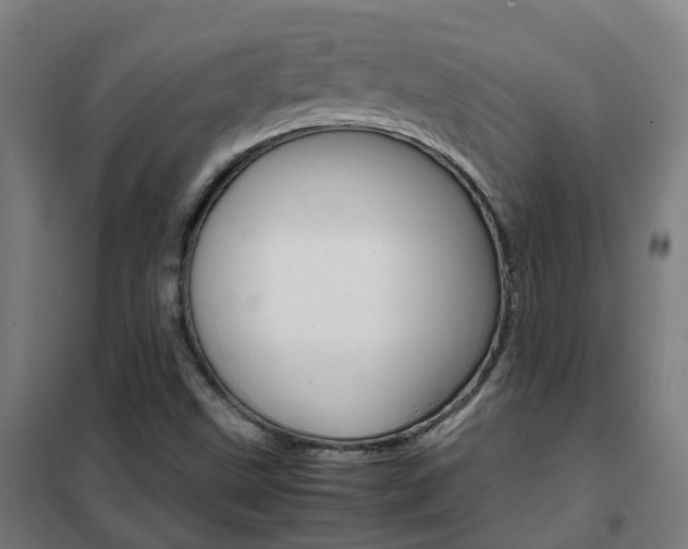X0000102251499200807250849