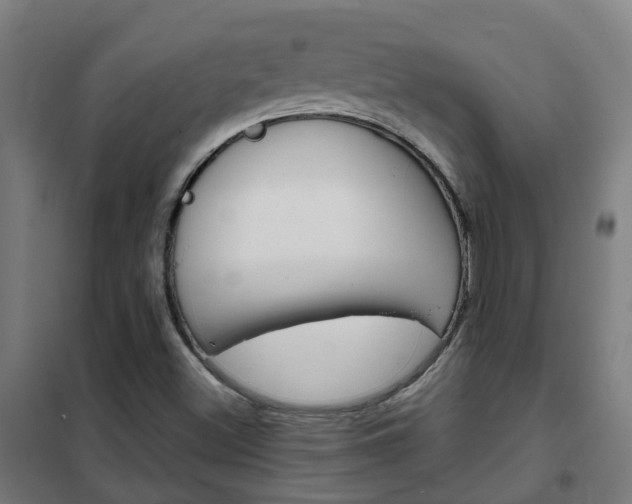 X0000102251500200807250849