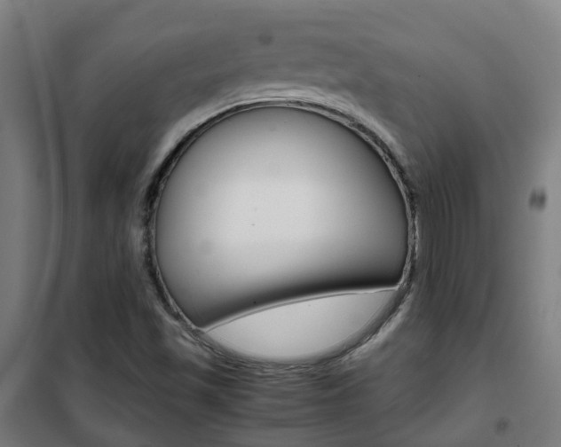 X0000102251501200807250849
