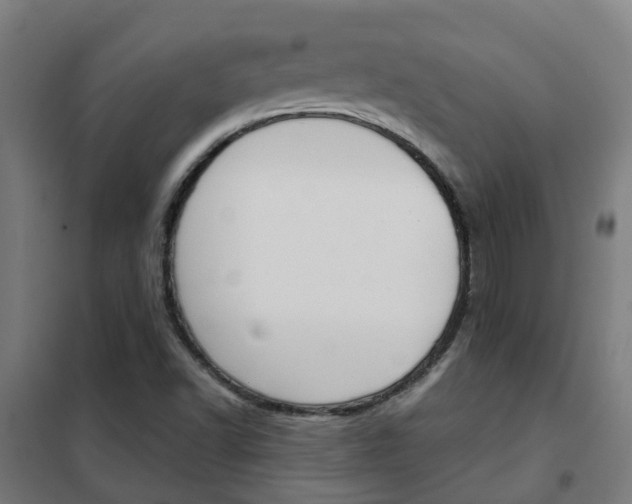 X0000102251502200807250849